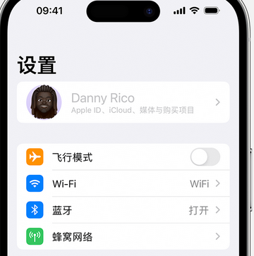 沙洋appleID维修服务iPhone设置中Apple ID显示为灰色无法使用