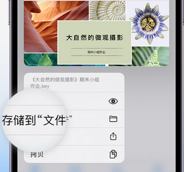 沙洋apple维修中心分享iPhone文件应用中存储和找到下载文件