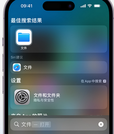 沙洋apple维修中心分享iPhone文件应用中存储和找到下载文件