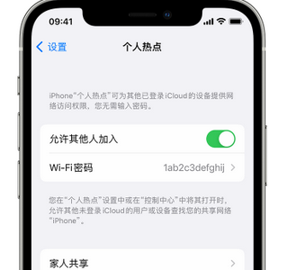 沙洋apple服务站点分享iPhone上个人热点丢失了怎么办