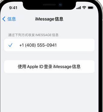 沙洋apple维修iPhone上无法正常发送iMessage信息 