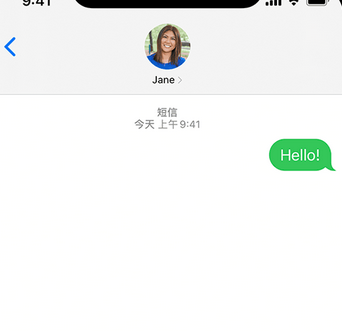 沙洋apple维修iPhone上无法正常发送iMessage信息