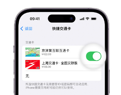 沙洋apple维修点分享iPhone上更换Apple Pay快捷交通卡手绘卡面 