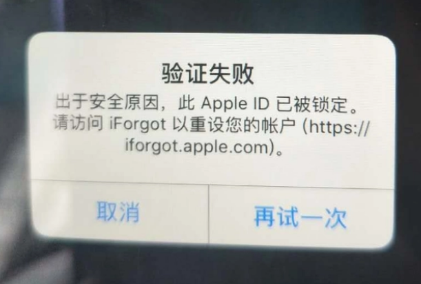 沙洋iPhone维修分享iPhone上正常登录或使用AppleID怎么办 