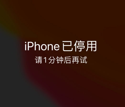 沙洋苹果手机维修分享:iPhone 显示“不可用”或“已停用”怎么办？还能保留数据吗？ 