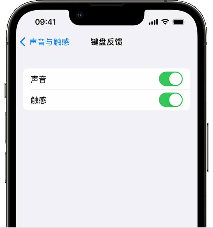 沙洋苹果14维修店分享如何在 iPhone 14 机型中使用触感键盘 