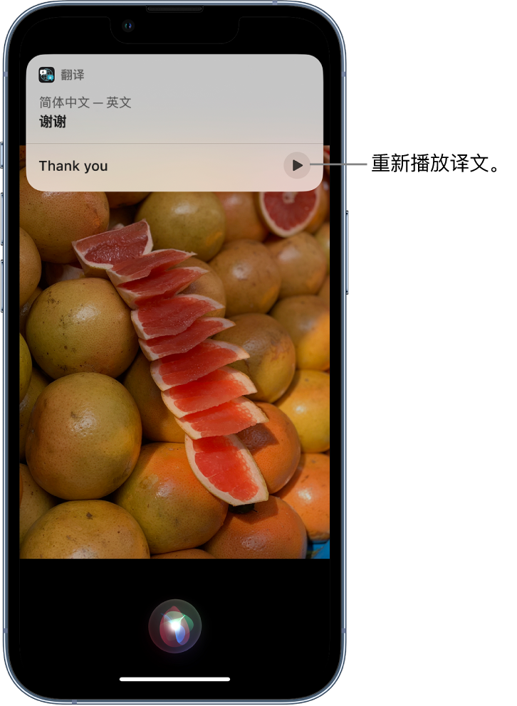 沙洋苹果14维修分享 iPhone 14 机型中使用 Siri：了解 Siri 能帮你做什么 