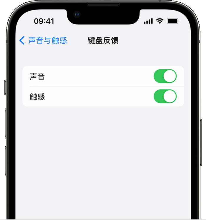 沙洋苹果14维修分享iPhone 14 系列机型如何开启键盘声音或触感反馈 