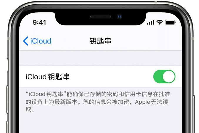 沙洋苹果手机维修分享在 iPhone 上开启 iCloud 钥匙串之后会储存哪些信息 