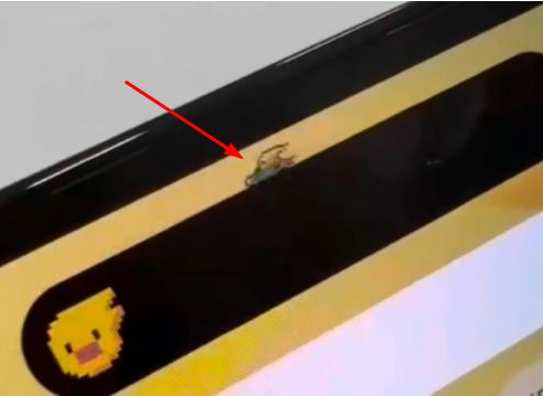 沙洋苹果14维修分享iPhone 14 Pro Max灵动岛怎么养宠物 