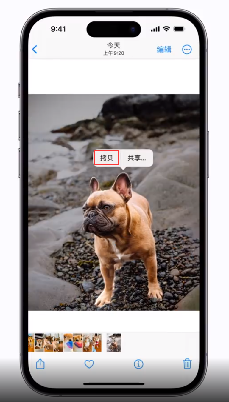 沙洋苹果手机维修分享 iOS 16 自带一键抠图功能 