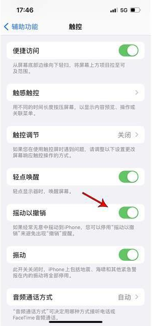 沙洋苹果手机维修分享iPhone手机如何设置摇一摇删除文字 