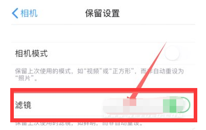 沙洋苹果13维修分享iPhone13拍照有绿点是怎么回事 